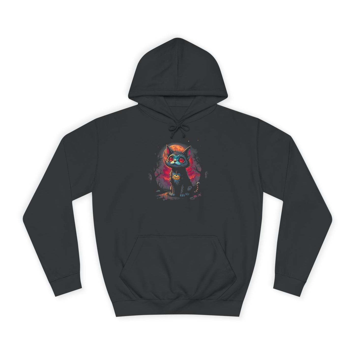 Edgar Allen Poe Inspired Pluto the Cat Unisex College Hoodie, Creepy Gothic Sweatshirt, Halloween Literature Fan Gift, Black Cat Hoody,